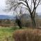 Charming 3-Bed Detached Cottage with Scenic Views
