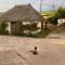 The Nest - Thatched seaside country cottage for two