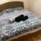 Apartman Daba - Kijevo