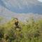 Wildehondekloof Game Lodge