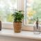 SCHWARZLINS LoftRaum - Stilvolles Apartment mit Smart TV, NETFLIX, Disney Plus, schnellem WLAN, Parken, Nespresso
