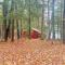 Little Red Lakeside Cabin