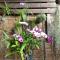 Rang Robin Farmstay for 4 with pool