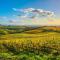 Casale Al Sole Tra Le Vecchie Vigne 6 and 10 - Happy Rentals - Radda in Chianti