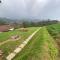 Thendral: Delightful homestay on a hill near Ooty - Naduvattam