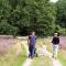 Molecaten Park Landgoed Ginkelduin