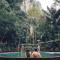The Vatika Resort and Spa - Aunang-part