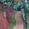 TREE6 WAYANAD