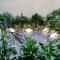 M Concept Hotel