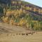 My Mongolia Eco Ger Camp