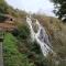 VUT Rural - Boente