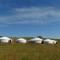 My Mongolia Eco Ger Camp - Nalayh My Mongolia Eco Ger Camp - Nalayh