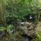 Daintree Secrets Rainforest Sanctuary
