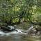 Daintree Secrets Rainforest Sanctuary