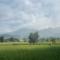 Paddy Fields Haven - Natures Nest - 拜县