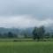 Paddy Fields Haven - Natures Nest - 拜县