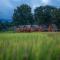 Paddy Fields Haven - Natures Nest - Pai