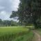 Paddy Fields Haven - Natures Nest - 拜县