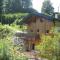 Alte Mühle mit wunderbarem Bergblick - Рамзау