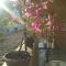 Afonso Guest House - Fontainhas