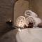 Abramis Rooms