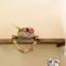 Abramis Rooms