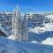 Apartments Konaci Centar