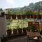 Dorsen Homestay