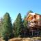 AlpenChalet ZirbenDuft - تراشر هوهي
