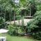 Daintree Deep Forest Lodge - Cape Tribulation