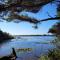 Tranquil Tides- Cape Meares Lakefront Beach Home
