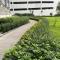 Grass residence tower2 29th