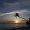 Night Star Dhangethi