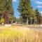 Centrally Located and Dog Friendly! - Home #36