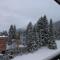 Beautiful Cozy Studio Davos - Davos