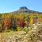 Beautiful Farmhouse with Pilot Mtn State Park Views! - Pilot Mountain