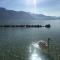 Vieil Annecy- L'Edelweiss- - 安锡