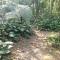 Hostel e Camping Rio das Pedras