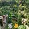 Hostel e Camping Rio das Pedras