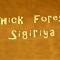 The Thick Forest - Szigirija