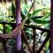 One Love Hostal Puerto Escondido