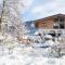 Apartment in Bramberg am Wildkogel with terrace - 维尔德科格尔山麓布兰贝格