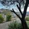 Casa del cerro 1 - Three Houses