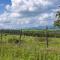 Dol Y Mynydd the Mountain Meadow-qu7521 - Llangerniew