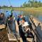 Sauraha B&B Stay, Explore, Roar to Your Gateway to Jungle Adventures,Wildlife Trips - Sauraha