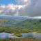 Dol Y Mynydd the Mountain Meadow-qu7521 - Llangerniew