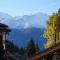"Petit flocon" Appartement au centre de Verbier