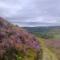 Barmoors