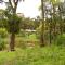 Countryside Retreat romantic tranquil native wildlife township Hepburn - Daylesford