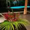 Las Terrenas Villa- King Bed, Beaches & Dining